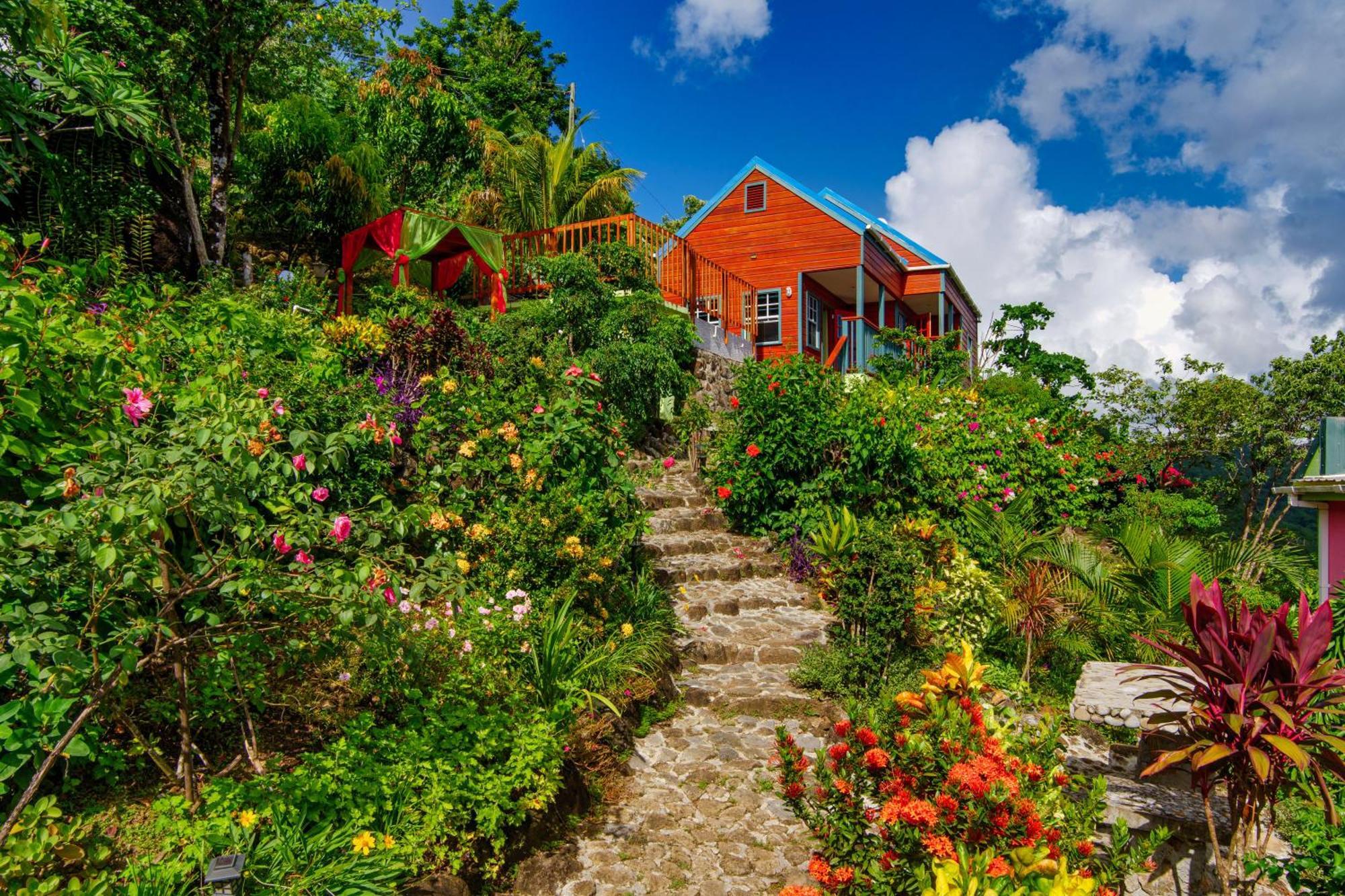 Tropical Paradise View Anse La Raye Exteriör bild